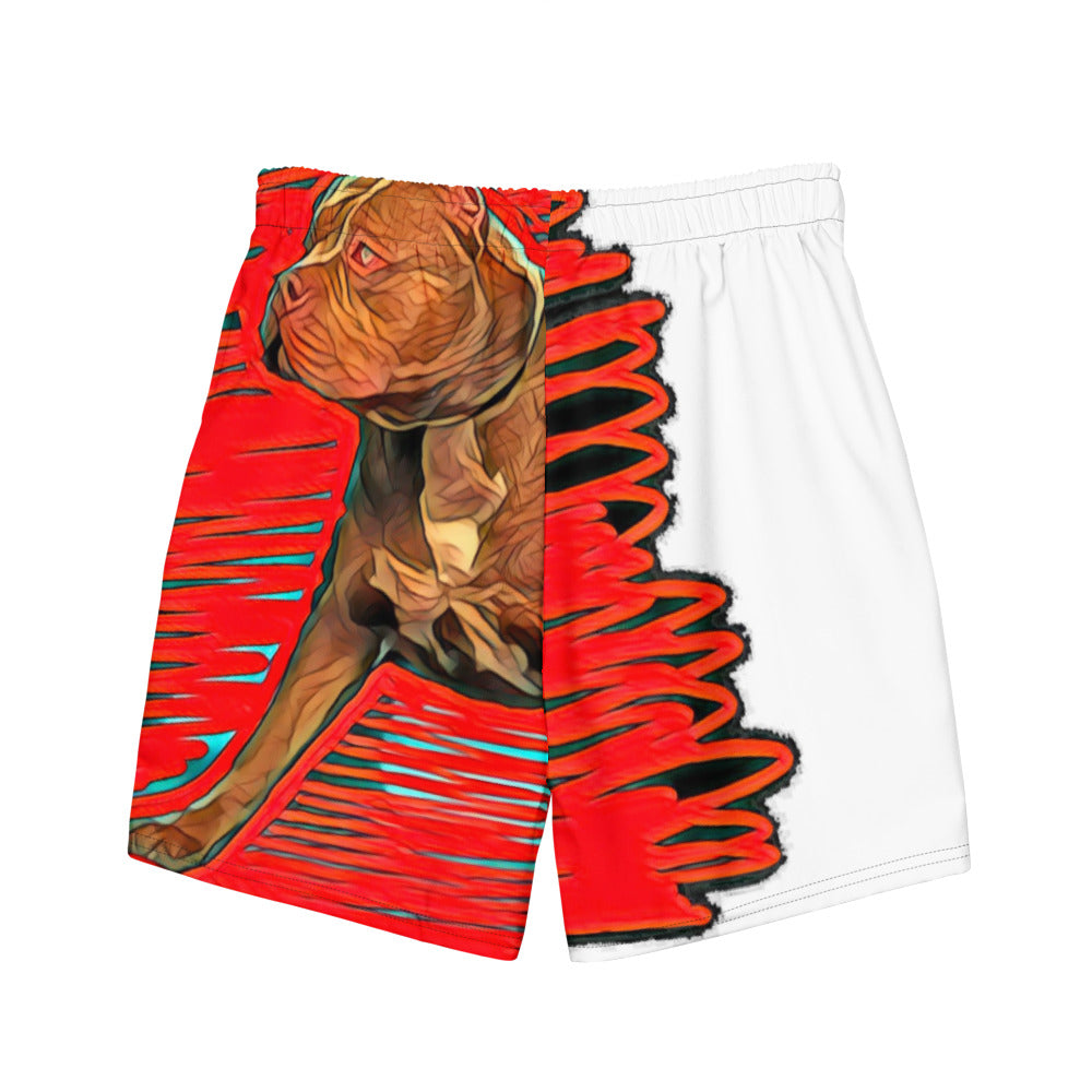 Men's swim trunks